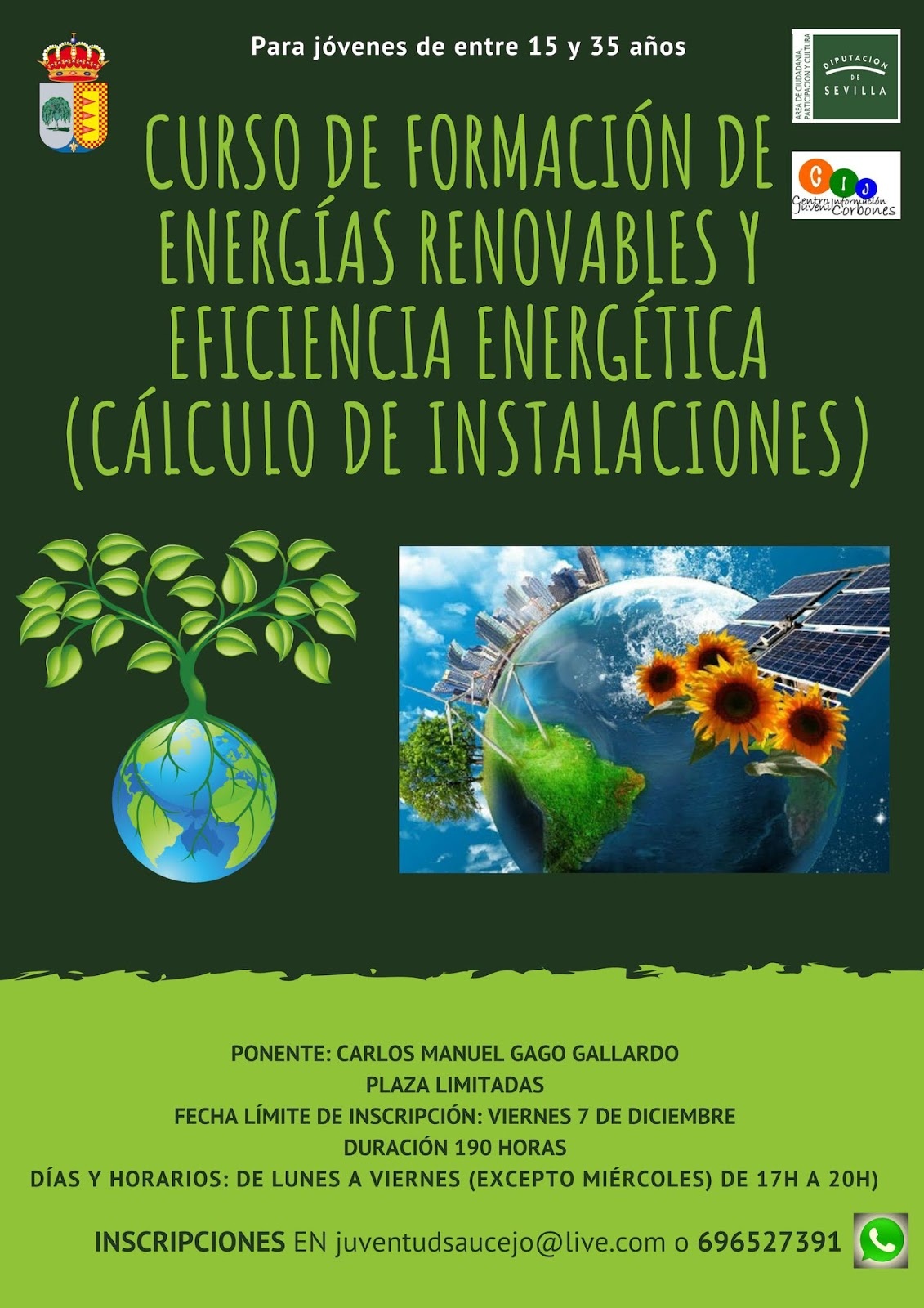 CARTEL Curso de formación de energías renovables y eficiencia energética