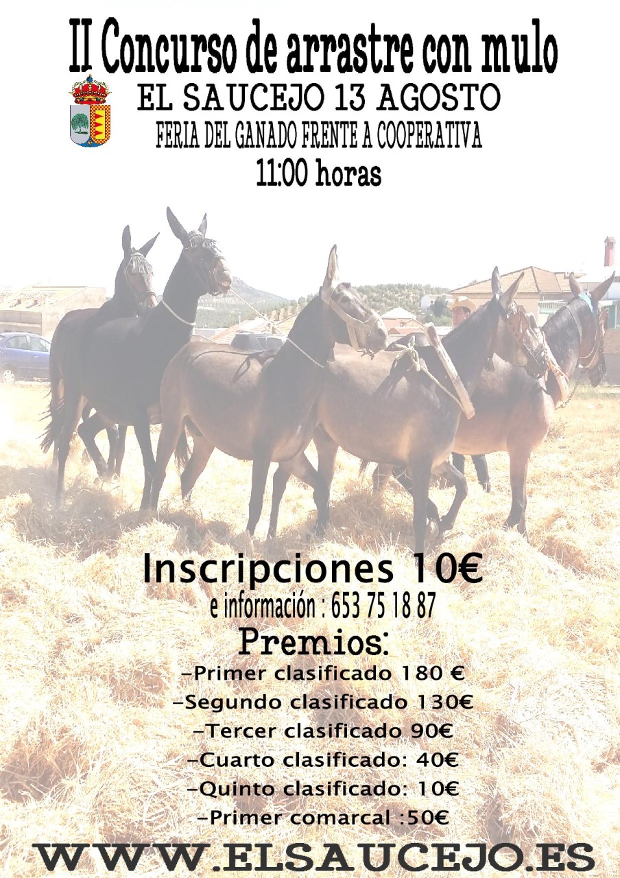 II Concurso de arrastre con mulo